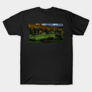 A Horse In A Northumberland Field T-Shirt